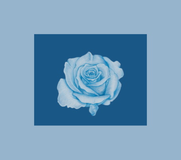 Keramiek van de Blauwe Roos van Christianne Terneldeli, mijn logo
